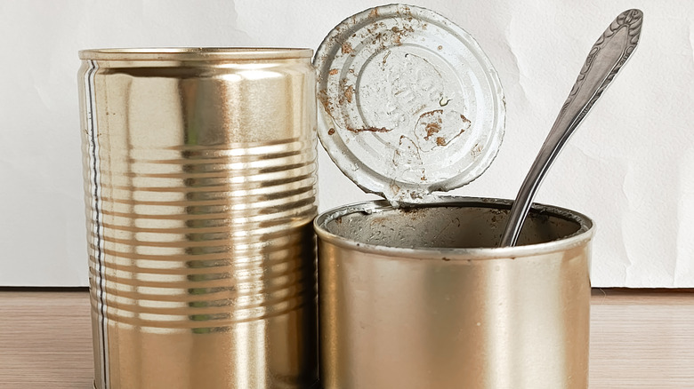 Transform Empty Soup Cans Into Cute Garden Decor With This Easy DIY