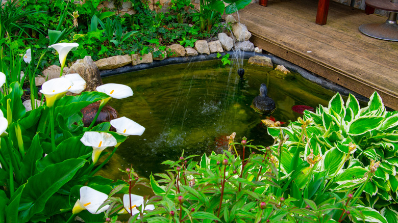A duck and duckling float in a garden pond framed by lilies.