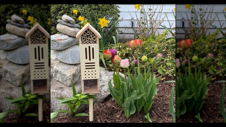 An wooden insect home sits near a flowering bunch of tulips.