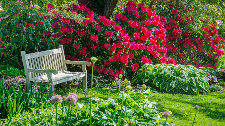 A garden bench sits in the  yard near blooming flowers.