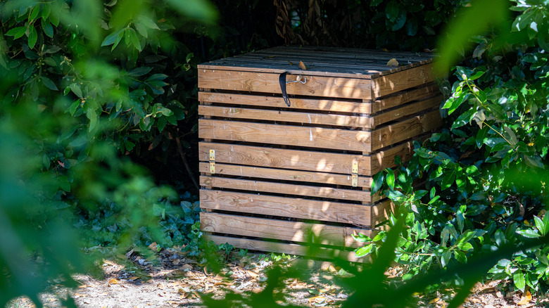 A wooden compost bin sits near brush.
