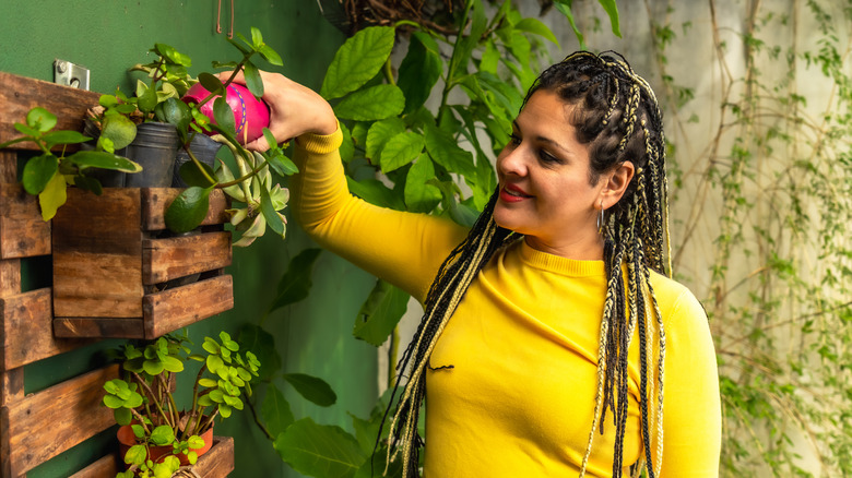 A woman waters plants in a vertical garden.