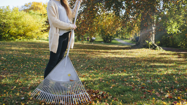 A woman holds up a rake, showing its handle against a leaf-ridden lawn.