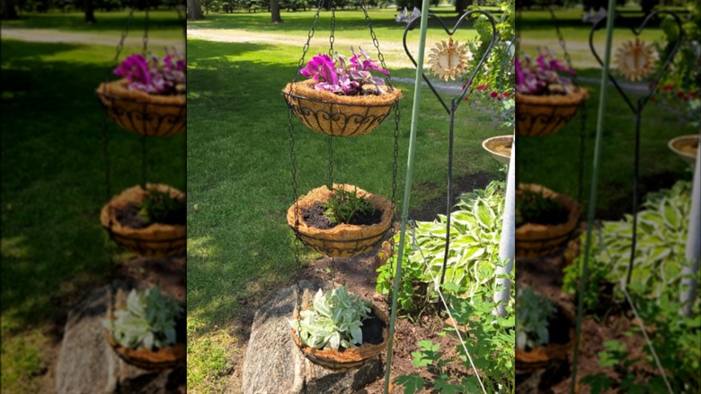 Flowers grow in a multi-tiered planter that was once a fruit organizer.