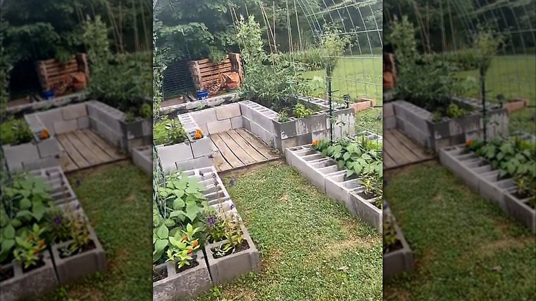 A series of raised beds of different shapes and heights have been made from concrete blocks.