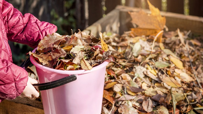 A wooden structure is filled with leaves.