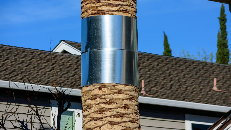 A palm tree is wrapped with metal.