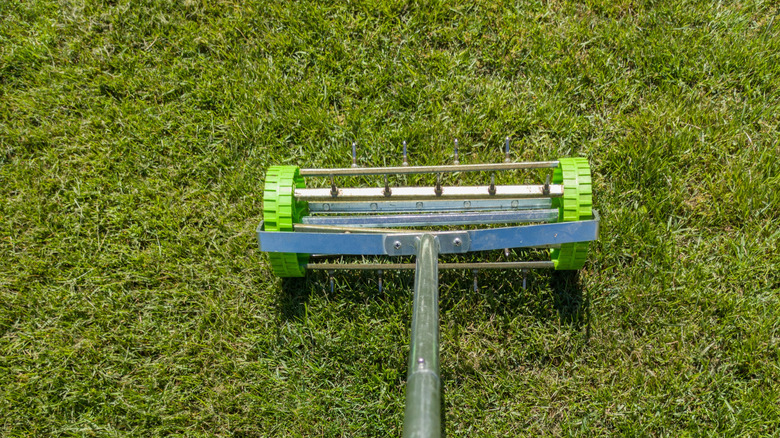 A rolling aerator aerates a green lawn.