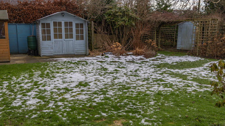 A light dusting of snow covers a backyard.
