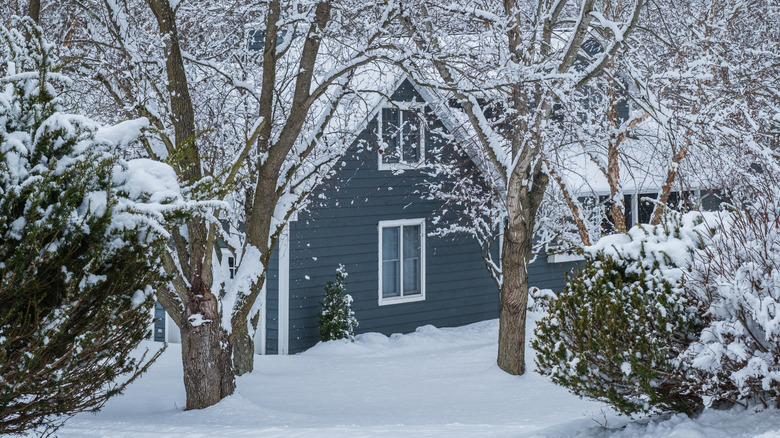 Snow blankets a house, yard, and trees.