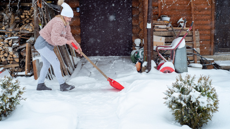 A woman is shoveling snow with plants and materials visible in the background and foreground
