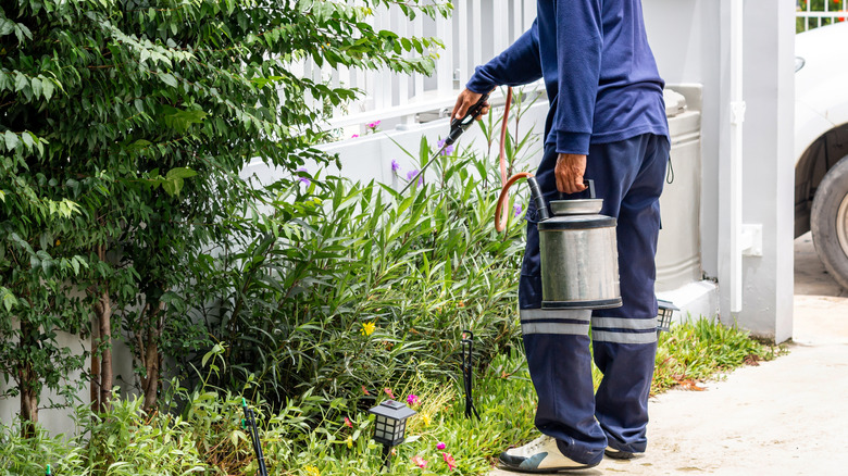 A pest control expert sprays for termites.
