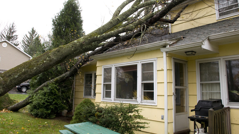 A tree has fallen on a suburban home.