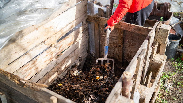 A gardener turns their compost pile.
