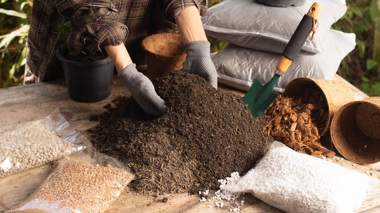 A gardener combines peat moss and other amendments to create soil.