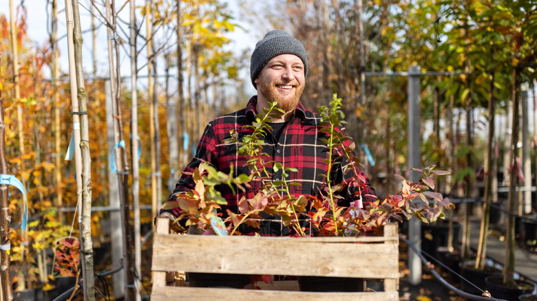 A man wearing a red flannel shirt and grey hat smiles as he carries a crate of plants through young trees at a nursery.