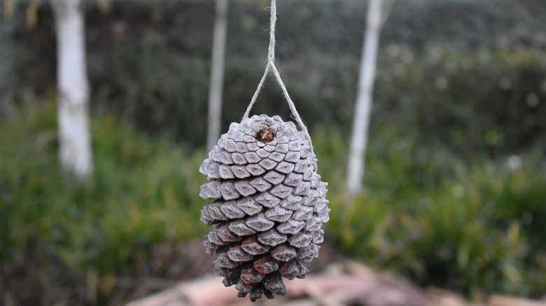 A pine cone is suspended on a string.
