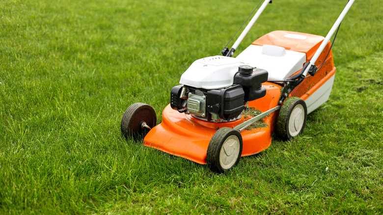 A lawn is being mowed by an orange and white push mower.