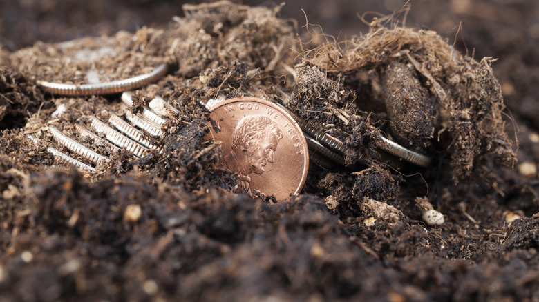Coins and a penny half-buried in the soil.