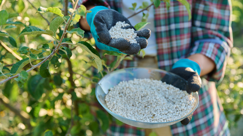 A person holds a mix of granular fertilizer.
