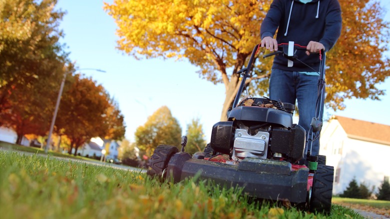 Man mowing grass with fall leaves in the background.