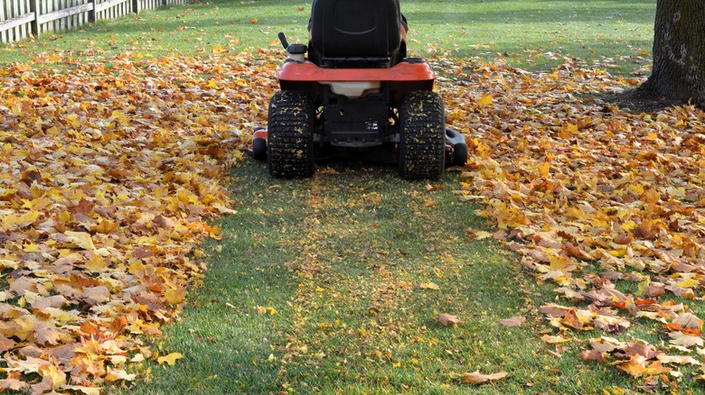 A riding lawn mower leaves a trail through fallen leaves.